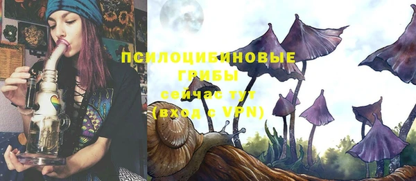 МДПВ Арсеньев