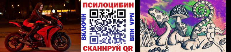 Псилоцибиновые грибы Psilocybine cubensis  даркнет сайт  Вилючинск 